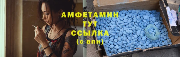шишки Краснослободск