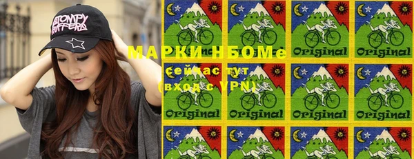 шишки Краснослободск