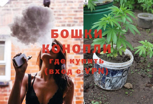 шишки Краснослободск